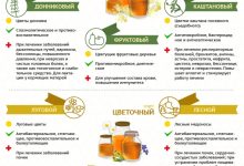 Photo of Полезные свойства меда для организма