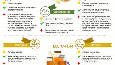 Photo of Полезные свойства меда для организма