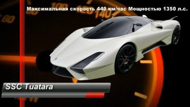Photo of Спортивные автомобили: скорость и мощь