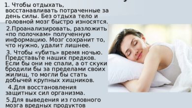 Photo of Польза здорового сна для организма